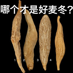 3年慢慢长 浙麦冬中药材正品精选无硫杭麦冬慈溪干货余姚笕麦门冬