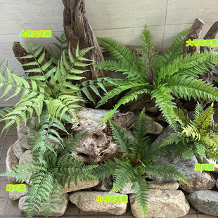 新款塑料仿真凤尾蕨蹄盖蕨鳞毛蕨狼尾蕨室内落地绿植园婚庆布景