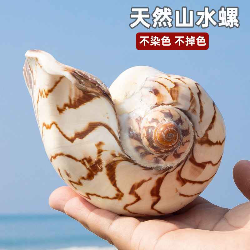 �ҾӰڼ�װ����Ȼ���ݱ���ɽˮ������쾰��Ӱ���߶�ͯ���պ���