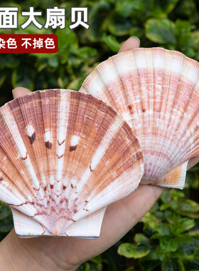 鱼缸造景装饰创意居家摆件DIY