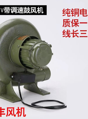 鼓风机民丰铸铁鼓风机小型