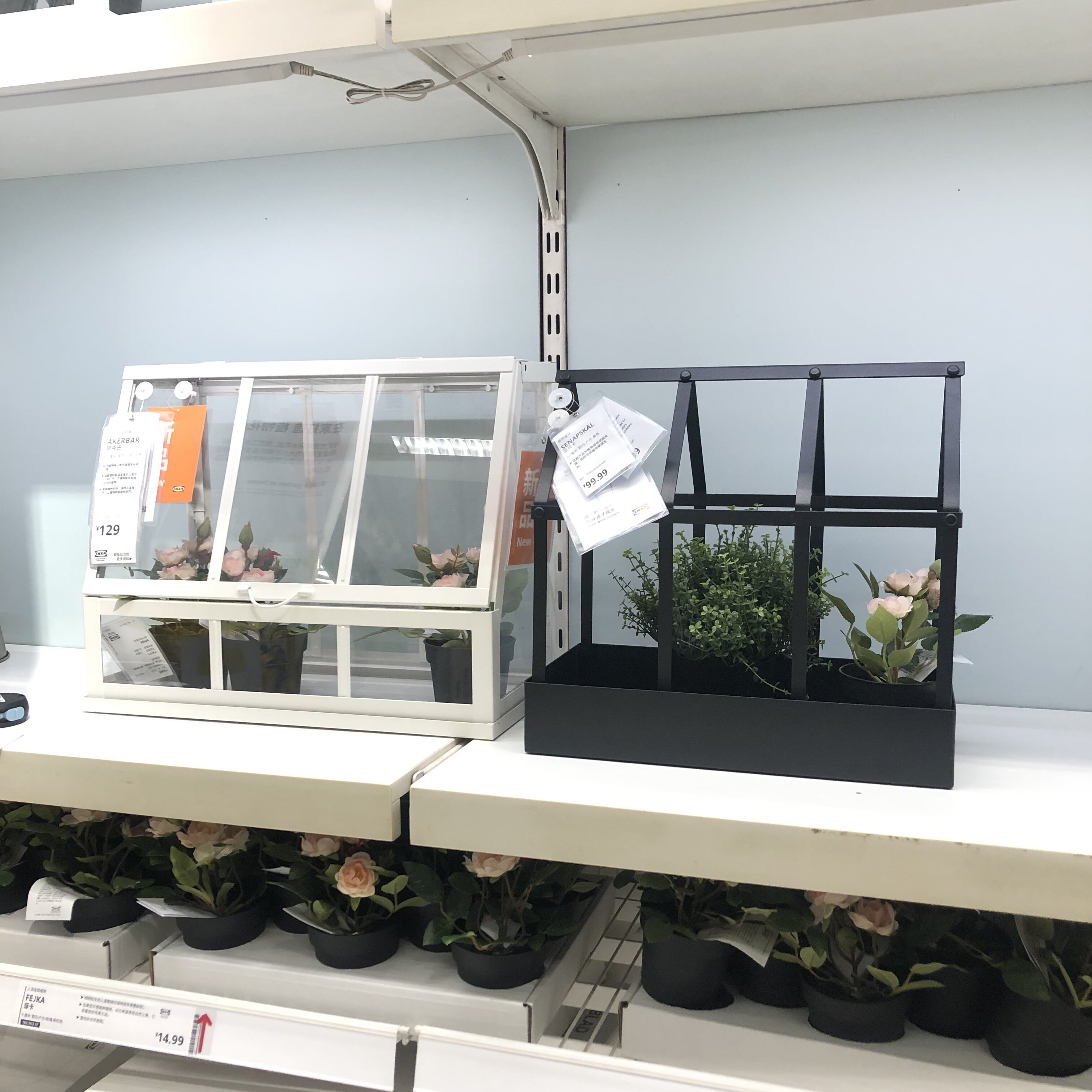 北京宜家代购  宜家ikea  阿克巴 塞纳卡  装饰植物温室