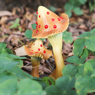 热带植物仿真模型实心孢针花捕蝇花食人花巨人柱铁甲树食虫草摆件