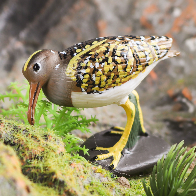 儿童仿真动物模型鹬科模型湿地海