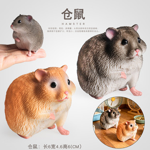 跨境实心仿真动物模型仓鼠犰狳刺猬耳廓狐食蚁兽儿童认知动物玩具