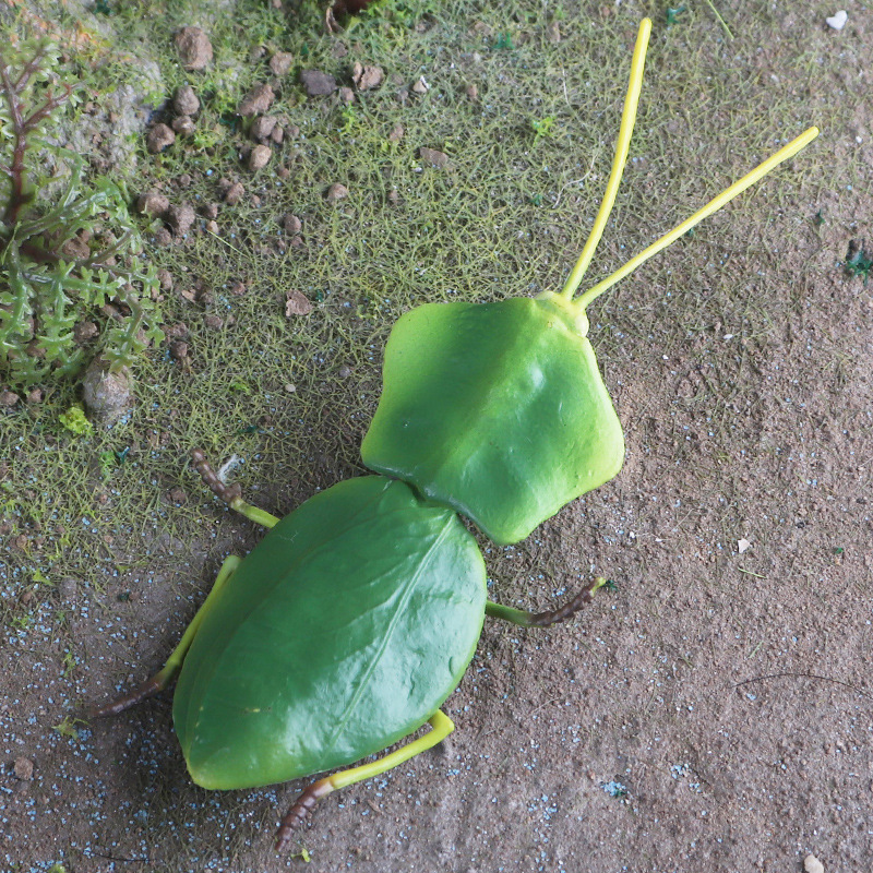 跨境儿童仿真野生昆虫模型斯氏叶