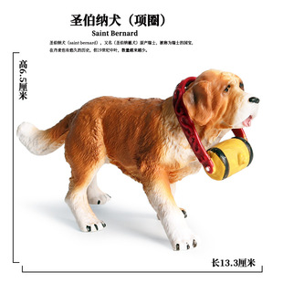 儿童仿真实心静态动物狗模型牧场圣伯纳犬 金毛宠物狗狗玩具摆件