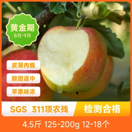 临猗嘎啦苹果产自山西临猗县果肉脆嫩高甜多汁口感酸甜新鲜包邮