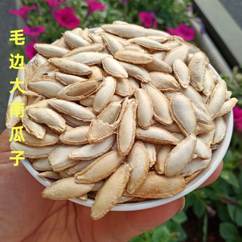 新货毛边南瓜子500g手工炒制椒盐瓜子熟光边原味大南瓜子零食散装