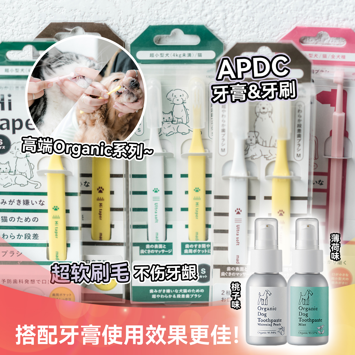 白猪商店 日本APDC超软宠物牙刷洁牙猫咪狗狗口腔牙齿清洁用品