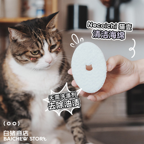 白猪商店猫壹洗碗海绵清洗布