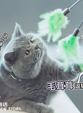 白猪商店 不起眼的小绿毛儿  绿色羽毛逗猫棒猫咪玩具逗猫玩具