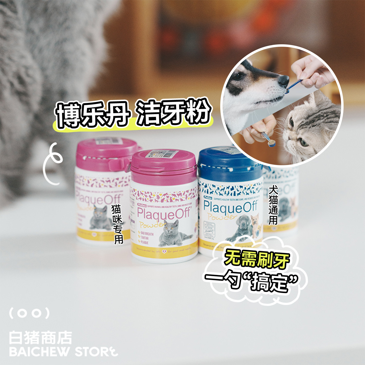 白猪商店 博乐丹洁牙粉猫咪狗狗除口臭宠物刷牙洁齿口腔牙齿清洁,宠物/宠物食品及用品,猫狗牙膏/牙具,淘宝优惠券,粉丝福利购,淘宝优惠卷