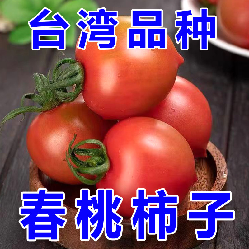 【自然熟】10台湾品种春桃西红柿 现摘碱地圣女果小番茄水果新鲜,水产肉类/新鲜蔬果/熟食,番茄,淘宝优惠券,粉丝福利购,淘宝优惠卷