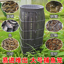 捕鱼抓鱼笼塑料鱼笼双孔只进不出泥鳅黄鳝渔网龙虾网笼捕虾网 新款