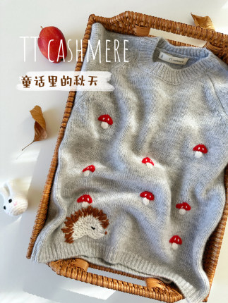 TTcashmere男女儿童宝宝秋冬新品秋天的童话手工刺猬加厚羊绒衫