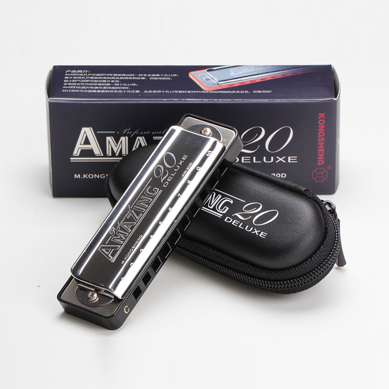 初学者 成人 儿童 amazing20 蓝调布鲁斯10孔paddy十孔口琴 包邮