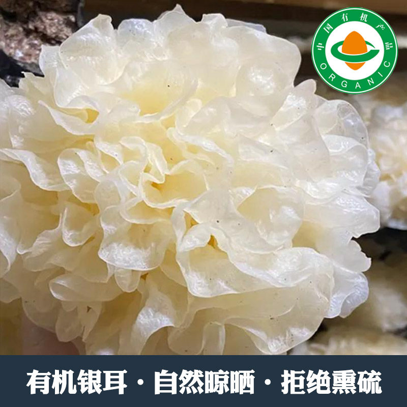 有机银耳 自然晾晒 不熏硫磺 朵朵均匀无杂质 无添加剂,粮油调味/速食/干货/烘焙,银耳/冻干银耳及银耳制品,淘宝优惠券,粉丝福利购,淘宝优惠卷