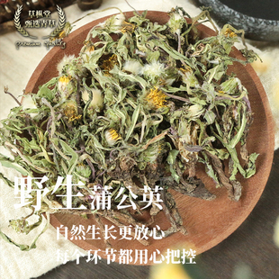 新货野生蒲公英整颗全草蒲公英茶婆婆丁散装 天然晒干正品 包邮 袋装