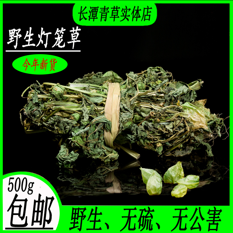 灯笼草的功效与作用图片