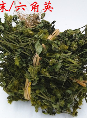 新货野生爵床 六角英 孩儿草 小青草500克包邮纯净无杂质