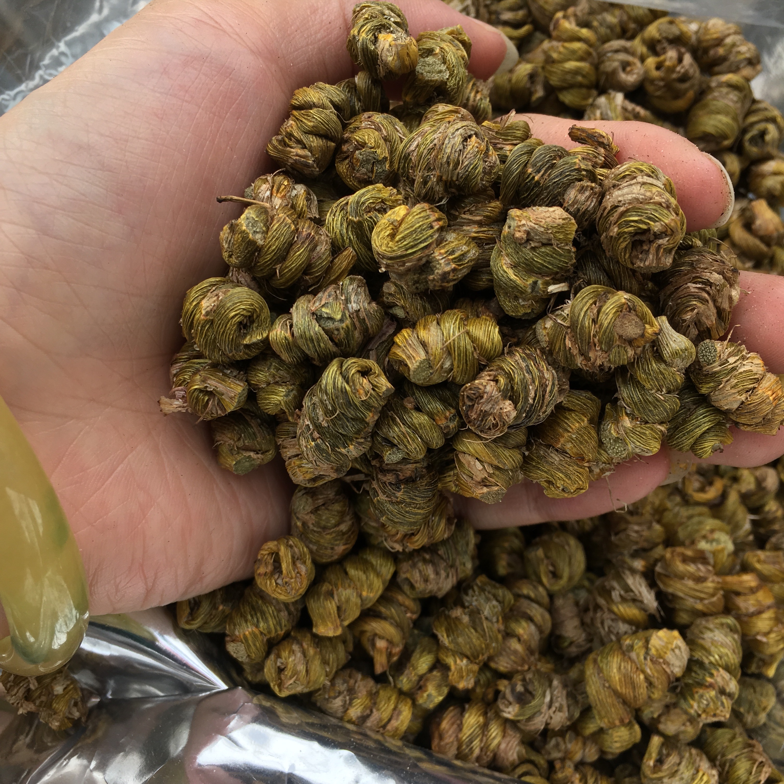 乐清新鲜条铁皮石斛铁皮枫斗颗粒干品仿野生石斛干 鲜条加工 渣少