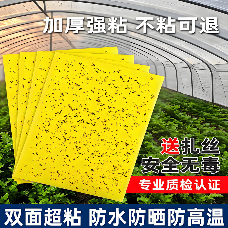 黄板双面粘虫板诱虫板贴纸灭小飞虫沾果蝇诱捕器果园蚊子苍蝇大棚
