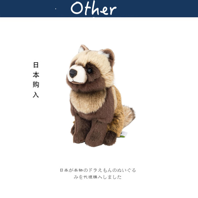 colorata日本正版浣熊公仔