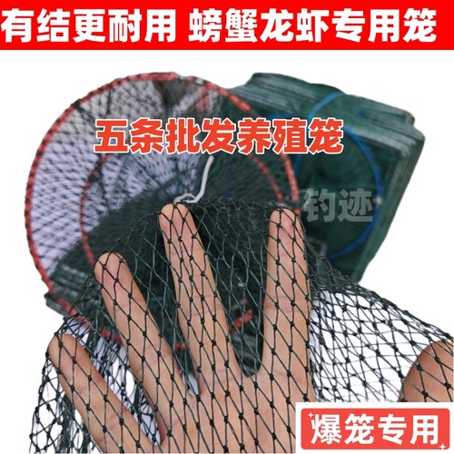 虾笼有结网渔网鱼笼养殖小龙虾捕大留小逮龙虾螃蟹超大号捕虾网笼
