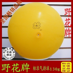 Ballon de volley-ball - Ref 2007986 Image 1