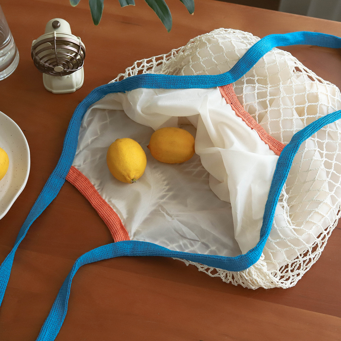 枝悟 环保购物袋 ins水果蔬菜网兜 便携可折叠家用手提袋拍照道具