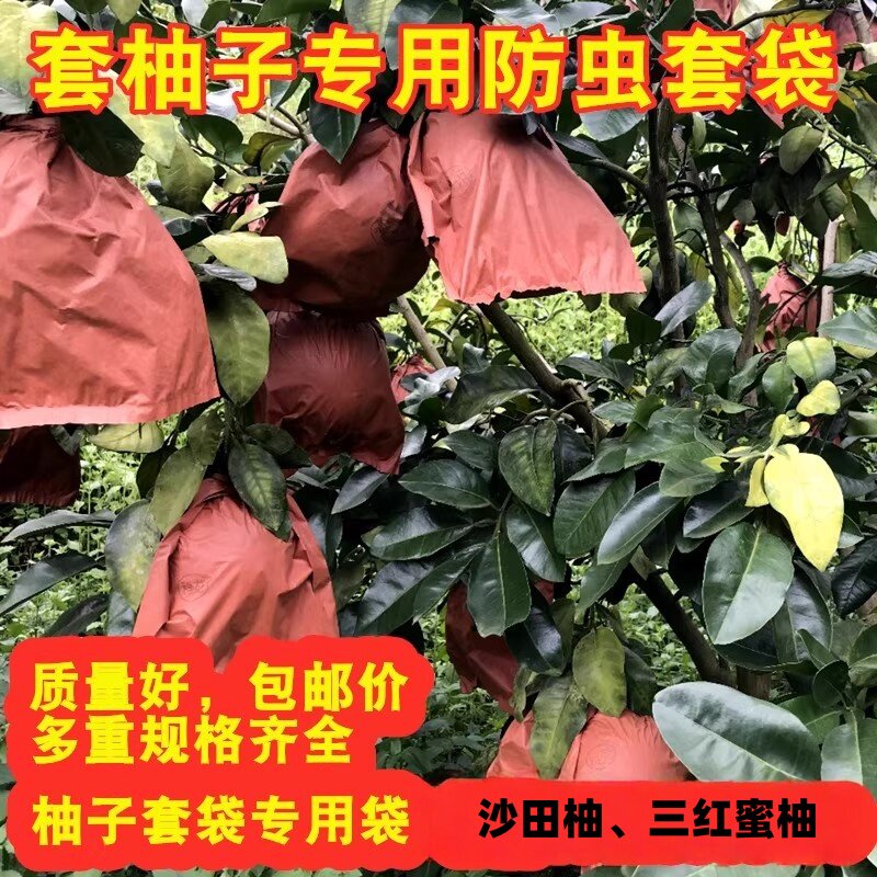 柚子水果套袋白肉三红肉密柚套袋柚子专用三层防虫鸟单双层30/32#