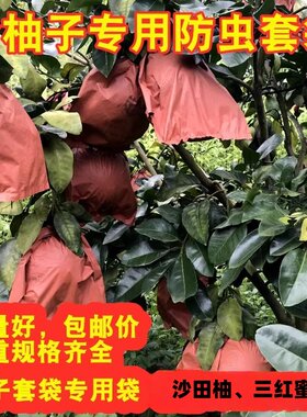 柚子水果套袋白肉专用三层防虫