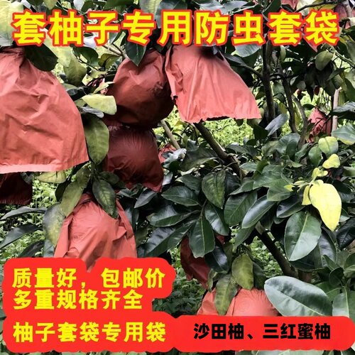 柚子水果套袋白肉专用三层防虫