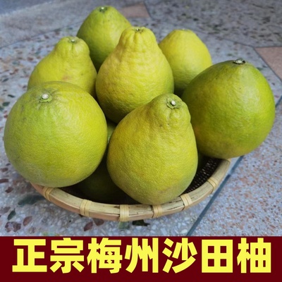 梅县沙田柚纯甜柚子新鲜孕妇水果