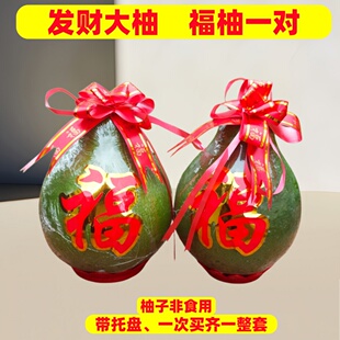 非食用精选青皮发财神柚拜梅州三红肉蜜柚沙田柚摆景桌上柚福柚子