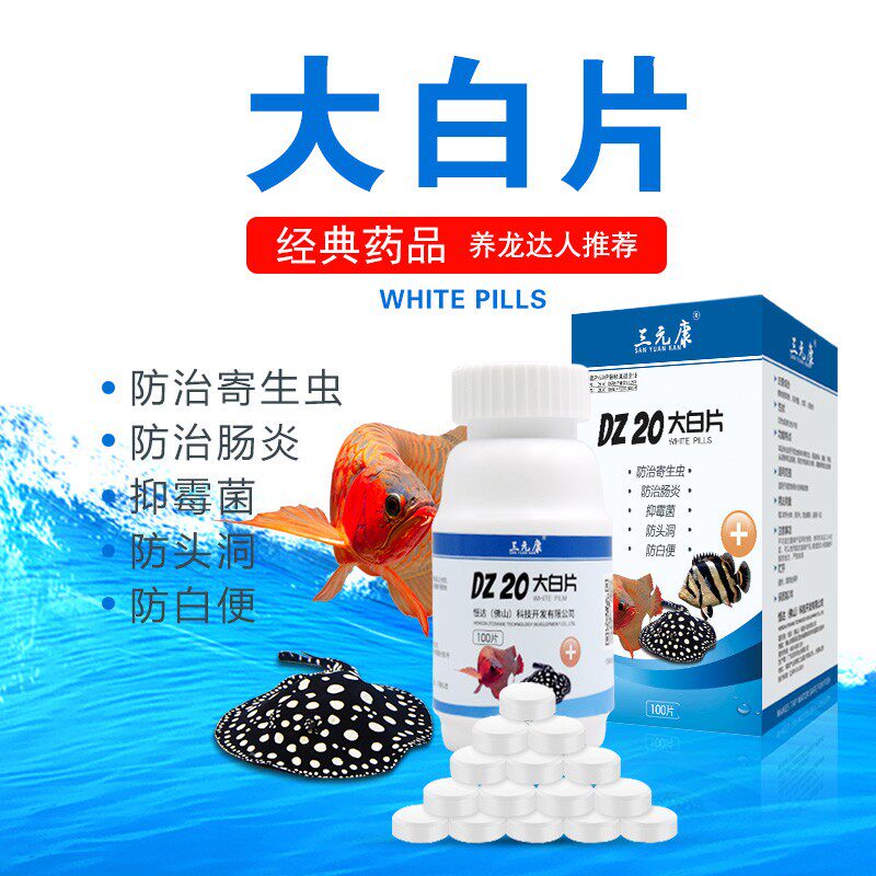 大白片鱼药内外寄魟龙鱼杀菌水族头洞腹水消毒剂药杀菌抗菌