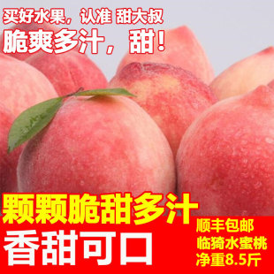 产地直发水蜜桃山西临猗鲜桃应季新鲜水果剥皮吃的水蜜桃甜香可口