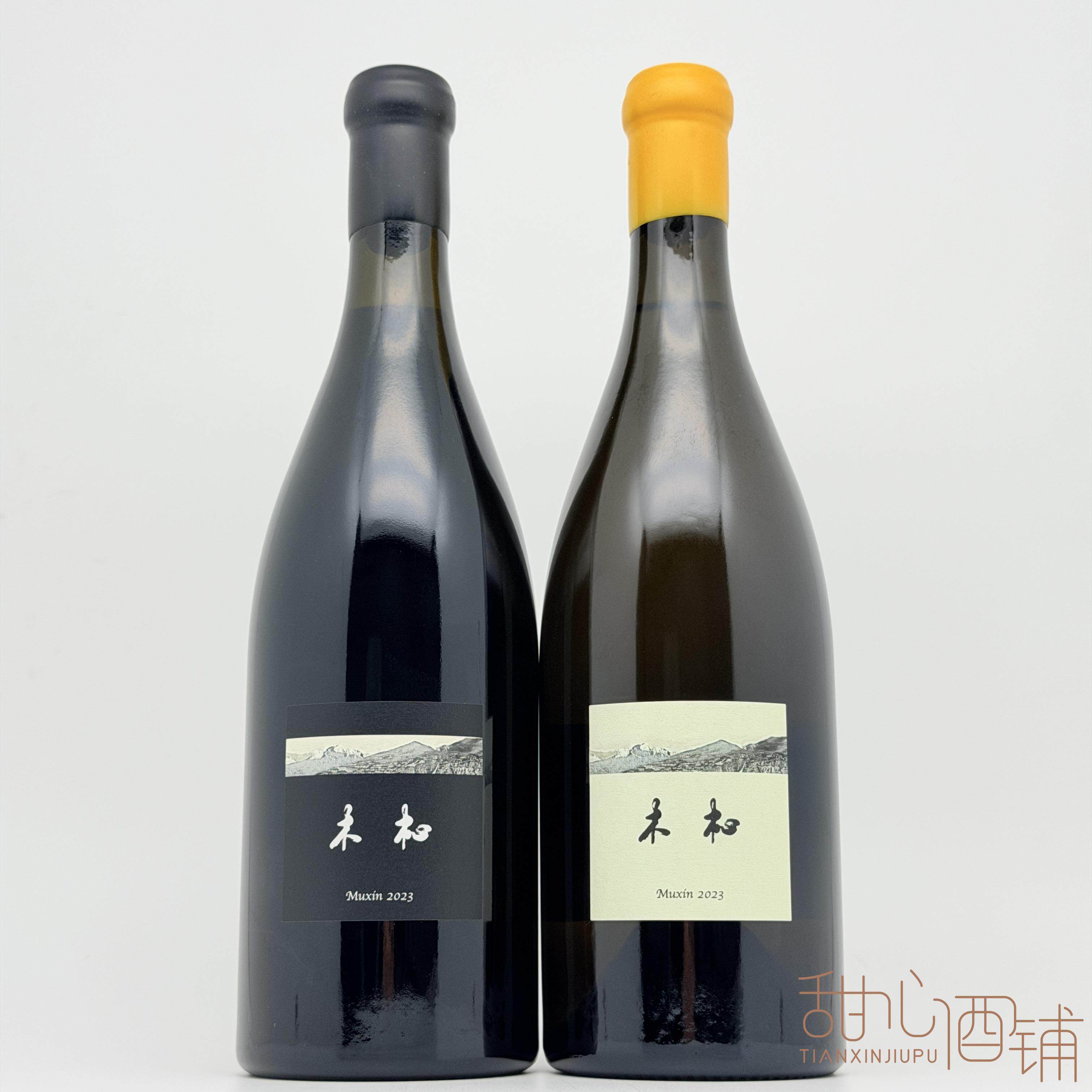 野生浆果、紫罗兰、新鲜薄荷