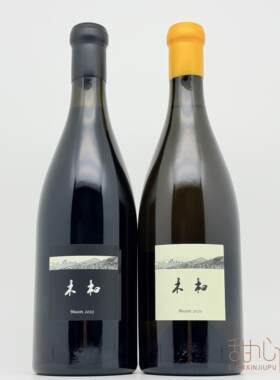 野生浆果、紫罗兰、新鲜薄荷