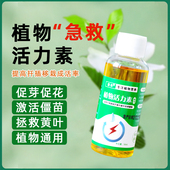 植物活力素营养液50ml月季 绿萝兰花发财树通用叶面肥改善黄叶僵苗