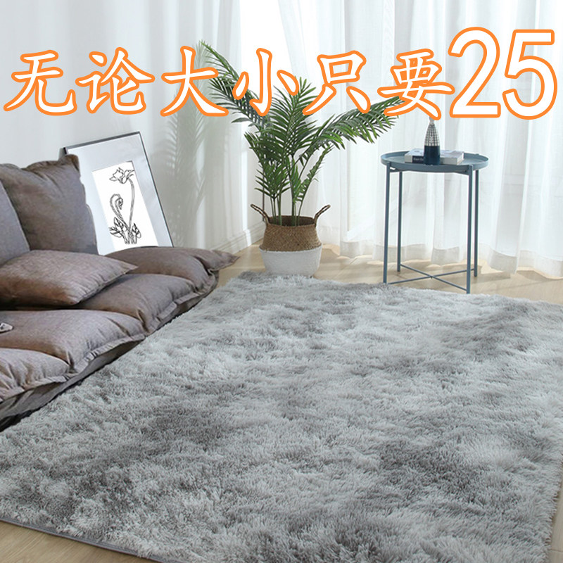 加厚长毛地毯丝毛少女卧室床边地毯长毛绒家用客厅沙发房间飘窗毯,居家布艺,飘窗垫,淘宝优惠券,粉丝福利购,淘宝优惠卷