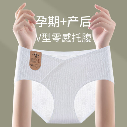 Caxltz Kgcmd怀孕专用低腰托腹内裤女士早中晚期孕妇产后三角裤