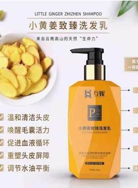 互妮茶麸洗发水护发套装官方旗舰店小黄生姜防掉发去油去屑洗发乳