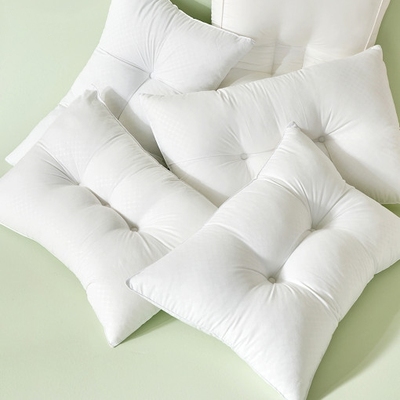 韩国进口抗菌防尘螨护颈枕芯