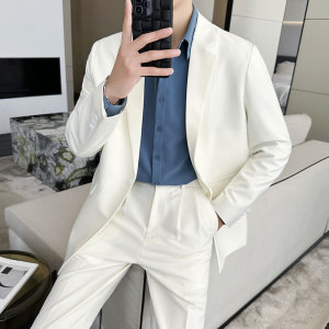 春夏薄款轻熟风宽松休闲垂感简约西服套装1829-P205图片