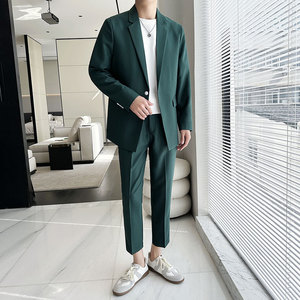 春夏薄款宽松休闲垂感简约西服套装1829-P205图片