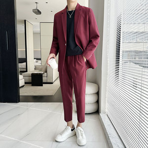 春夏薄款宽松休闲垂感简约西服套装1829-P205图片