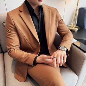 韩版修身西服时尚休闲商务西装两件套LJT2503-P230图片