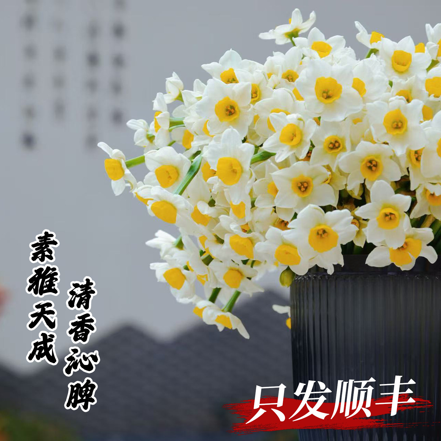 【发顺丰】漳州水仙花种球鲜切花枝花束室内花卉冬季水培春节装饰,鲜花速递/花卉仿真/绿植园艺,花材,淘宝优惠券,粉丝福利购,淘宝优惠卷